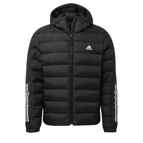 adidas leichtsteppjacke herren|Leicht .